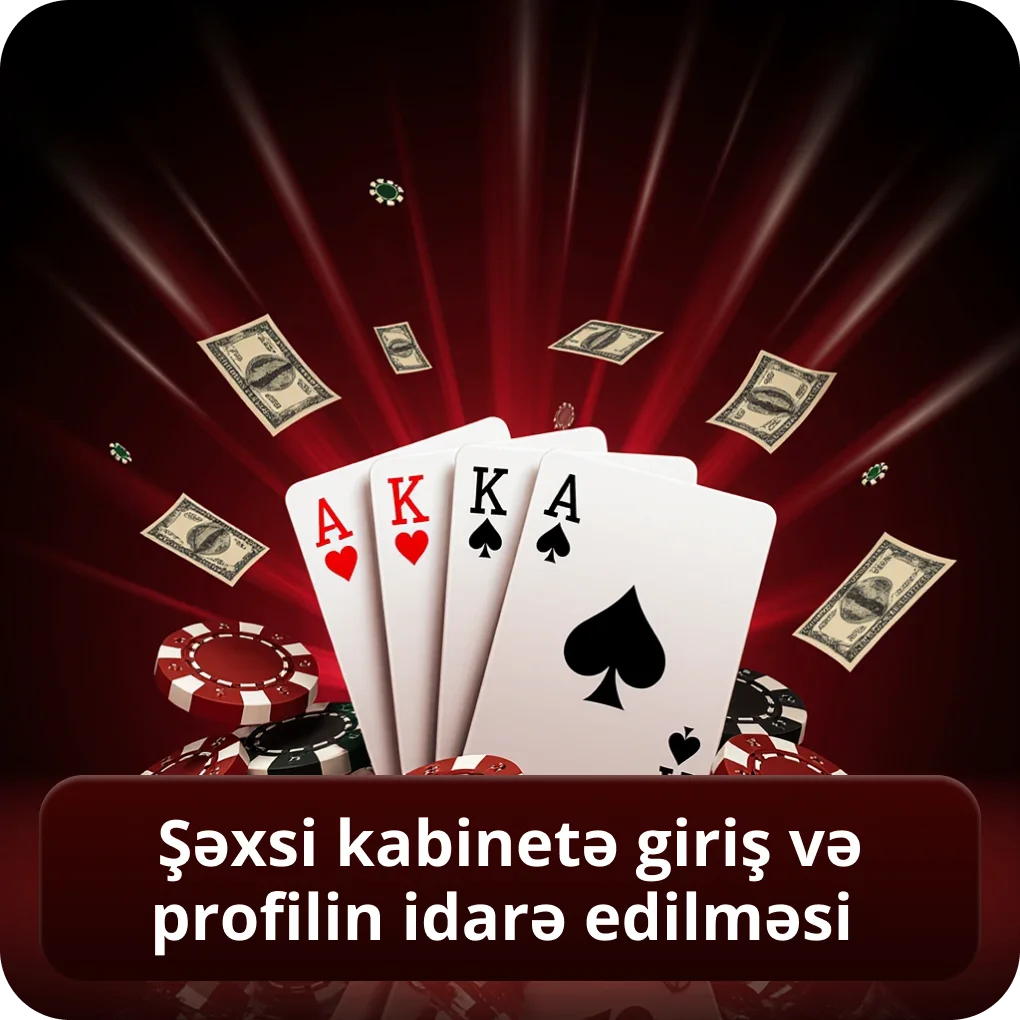 Şəxsi kabinetə giriş və profilin idarə edilməsi